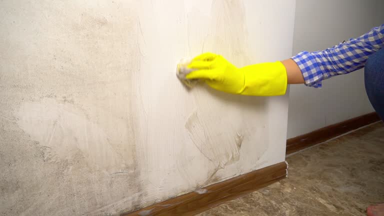 Best Water Damage & Mold Remediation  in Stanley, WI