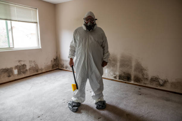 Best Residential Mold Inspection & Testing  in Stanley, WI